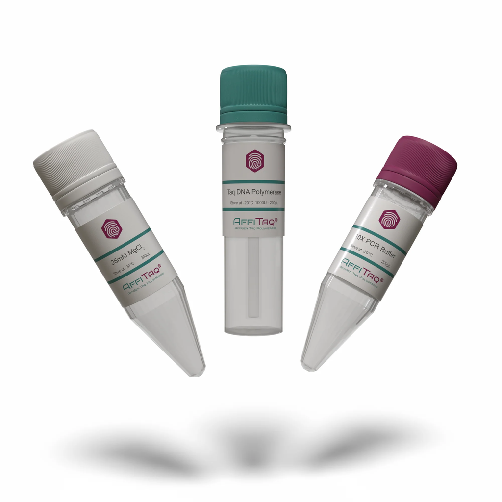 AffiTaq® DNA Polymerase - With Buffer - With MgCl2 - Without dNTP