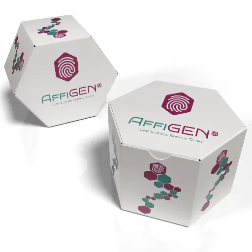 [AFG-SMX-0001] AffiGEN® IKVAV peptide : H‑IKVAVGKKG-[K(N3)]‑OH, Purity >95% , TFA salt , 10 AA